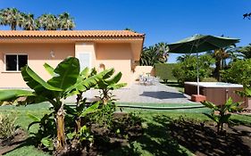 Finca La Gaviota - Los Limoneros
